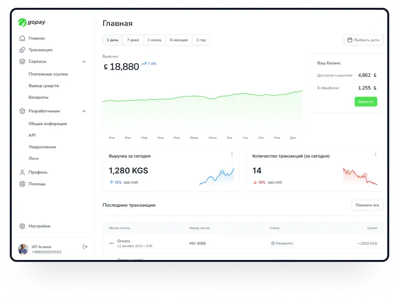 Go Pay dashboard mockup